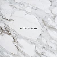 Dimension - If You Want To (Explicit)