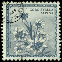 Coro Stella Alpina - Canti Di Montagna