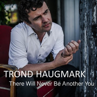 Trond Haugmark - There Will Never Be Another You