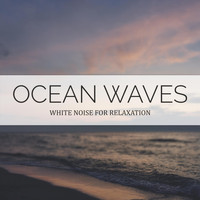 Path to the Wild - Ocean Waves (White Noise for Relaxation)