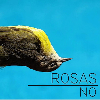Rosas - No