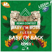 LEDDH - Baby I'm Back  (LEDDH Baby I'm Back REMIX)