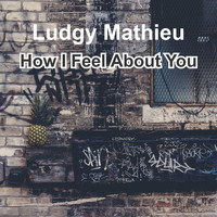 Ludgy Mathieu / - How I Feel About You