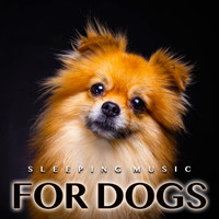 Dog Music, Music For Dog's Ears, Sleeping Music For Dogs - Sleeping Music For Dogs: Calm Dog Music For Dog's Ears and The Best Music For Pets