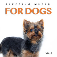 Dog Music, Music For Dog's Ears, Sleeping Music For Dogs - Sleeping Music For Dogs: Calm Dog Music For Dog's Ears and The Best Music For Pets, Vol. 7