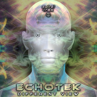 Echotek - Different View