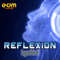 Reflexion - Lyrebird