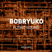Bobryuko - Flying Sound