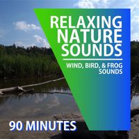 Eastern Science - Wind Sounds | Bird Sounds | Frog Sounds | For Sleep, Relaxation, and Concentration (90 Minutes)
