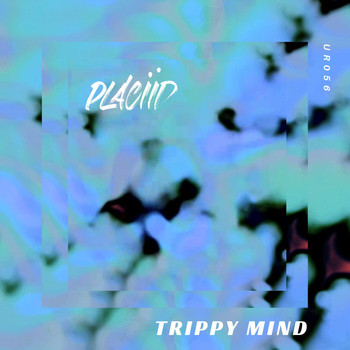 Placiid - Trippy Mind