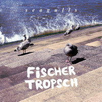 Fischer Tropsch - Seagulls