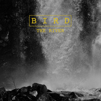 Bird - The River