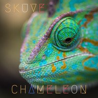 Skuve - Chameleon