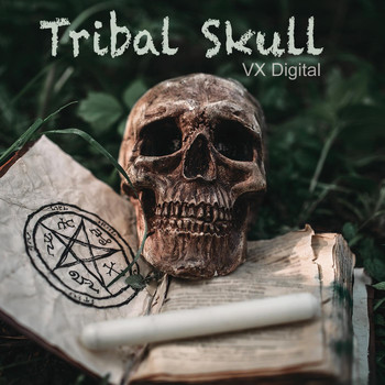 Vx Digital - Tribal Skull