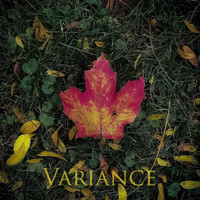 Stalgic - Variance