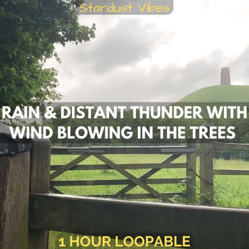 Stardust Vibes - Rain & Distant Thunder with Wind Blowing in the Trees: One Hour (Loopable)
