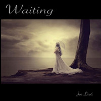 Joe Livoti - Waiting