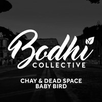 Chay, Dead Space - Baby Bird