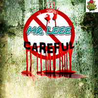 Mr Leee - Careful