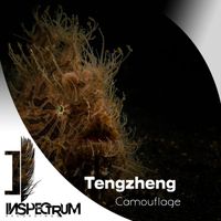 Tengzheng - Camouflage