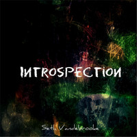 Seth Vandebrooke - Introspection