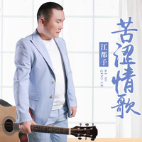 江都子 - 苦涩情歌