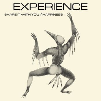 Experience - Share It with You / Happiness
