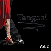 Carlitos Nava Y Su Conjunto Argentino - Tangos!, Vol. 2