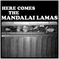 Mandalai Lamas - Here Comes the Mandalai Lamas