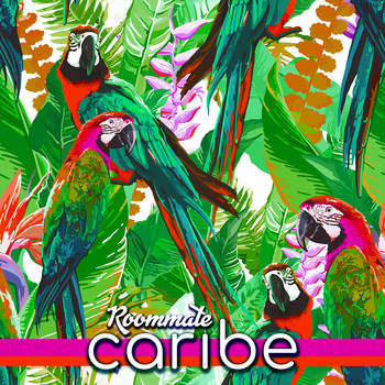 Roommate - Caribe
