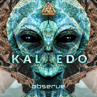 Kalaedo - Observe