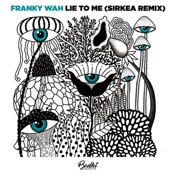Franky Wah - Lie To Me