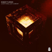 Robert Furrier - Everything Just a Dream