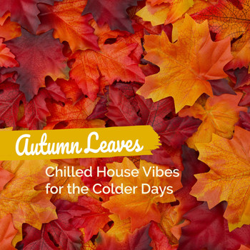Various Artists - Autumn Leaves: Chilled House Vibes for the Colder Days