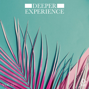 Various Artists - Deeper Experience, Vol. 17