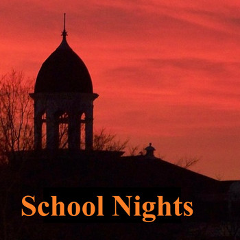 Prodigal Puffins / - School Nights