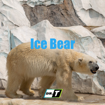 DR.T / - Ice Bear