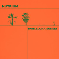 Nutrium - Barcelona Sunset