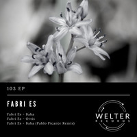 Fabri Es - 103 EP