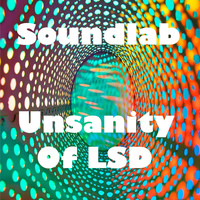 Soundlab / - Unsanity of LSD
