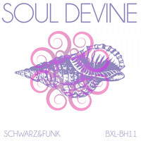 Schwarz & Funk - Soul Devine