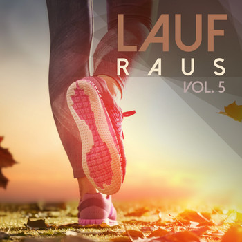 Various Artists - Lauf Raus, Vol. 5
