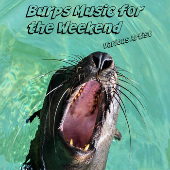 Various Artists - Burps Music for the Weekend
