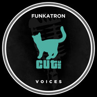 Funkatron - Voices