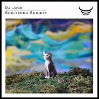 DJ Jace - Sheltered Society