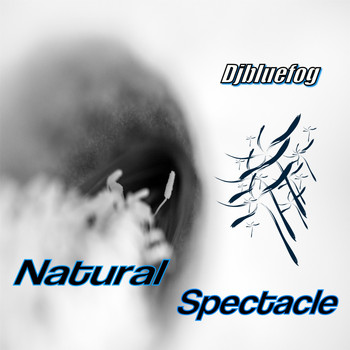 Djbluefog - Natural Spectacle