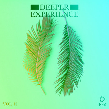 Various Artists - Deeper Experience, Vol. 12