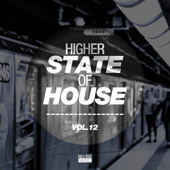 Various Artists - Higher State of House, Vol. 12