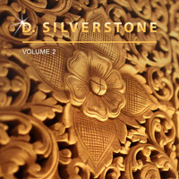 D. Silverstone - D. Silverstone, Vol. 2