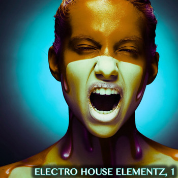 Various Artists - Electro House Elementz, 1 (Electro House Music Selection)